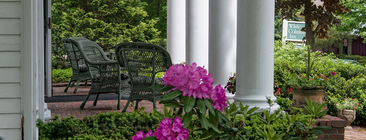 patio garden